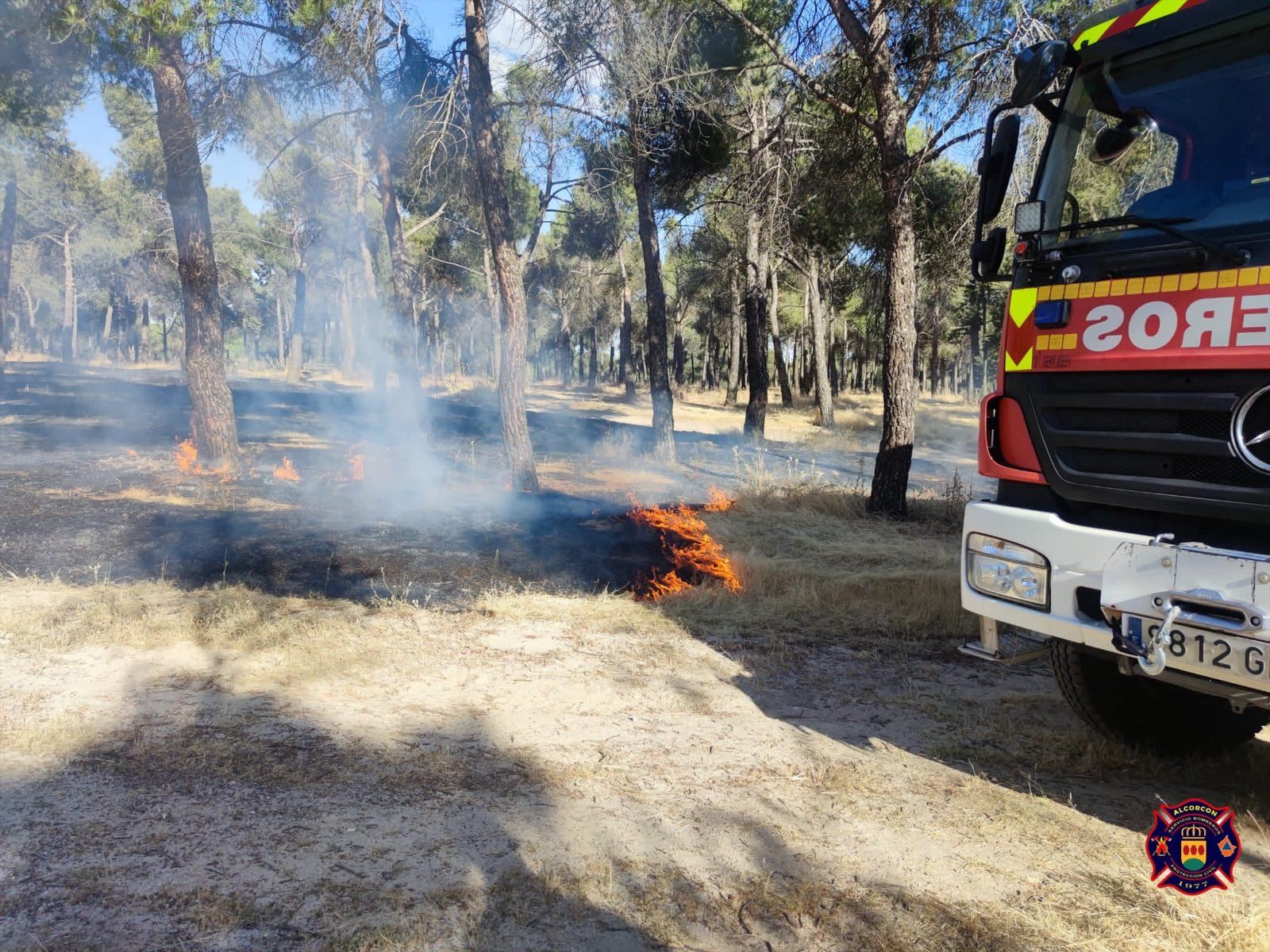 Incendio de pastos en Alcorcón