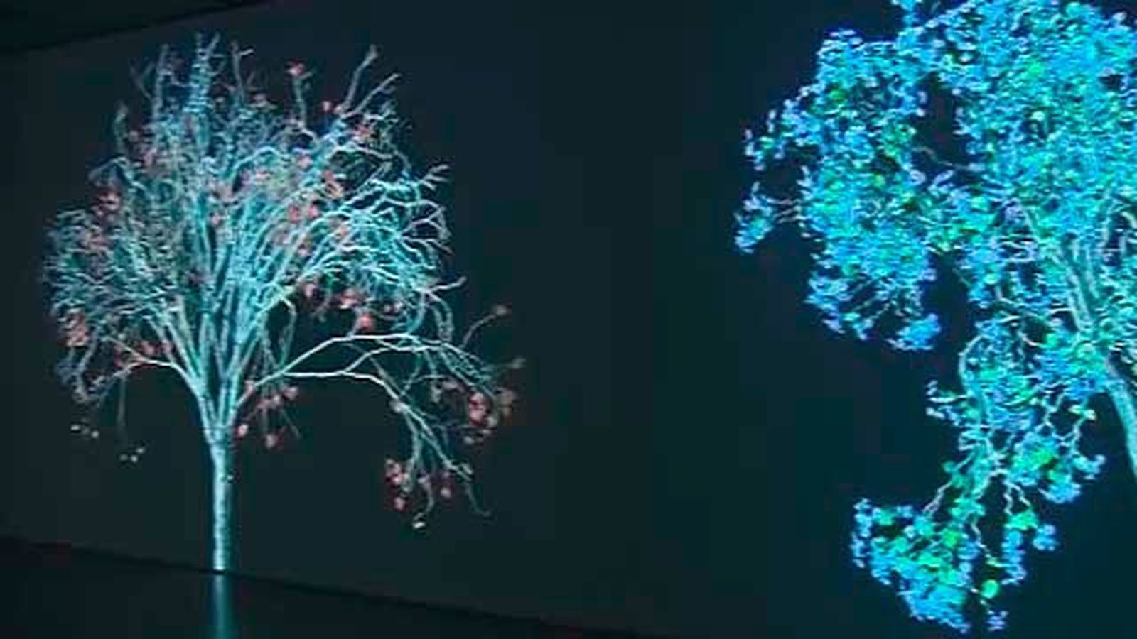 "Naturaleza Digital"  de Jennifer Steinkamp en Espacio Fundación Telefónica