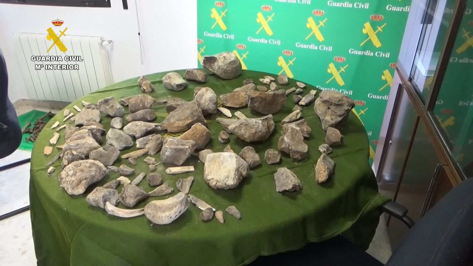 Restos de mamuts recuperados por la Guardia Civil