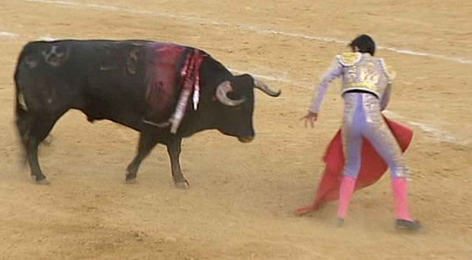 Toros desde Cenicientos