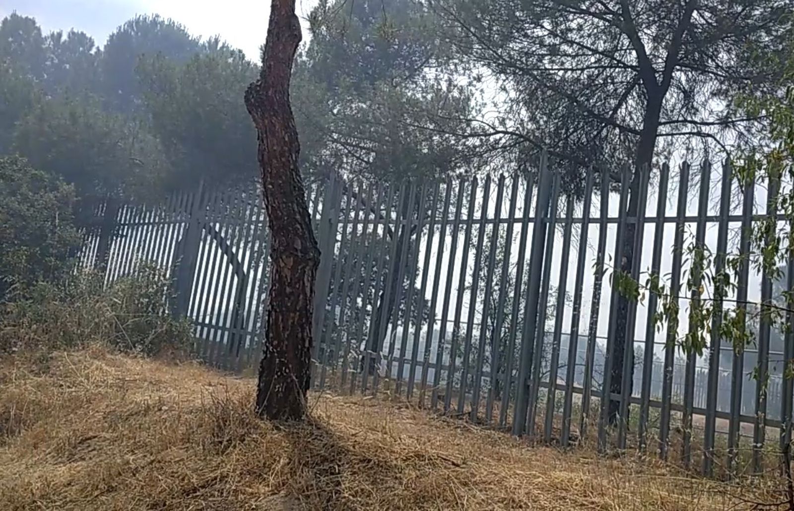 Zona de la Casa de Campo afectada por el incendio