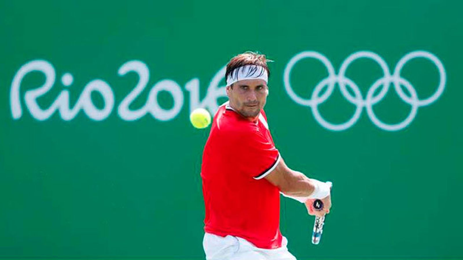 David Ferrer