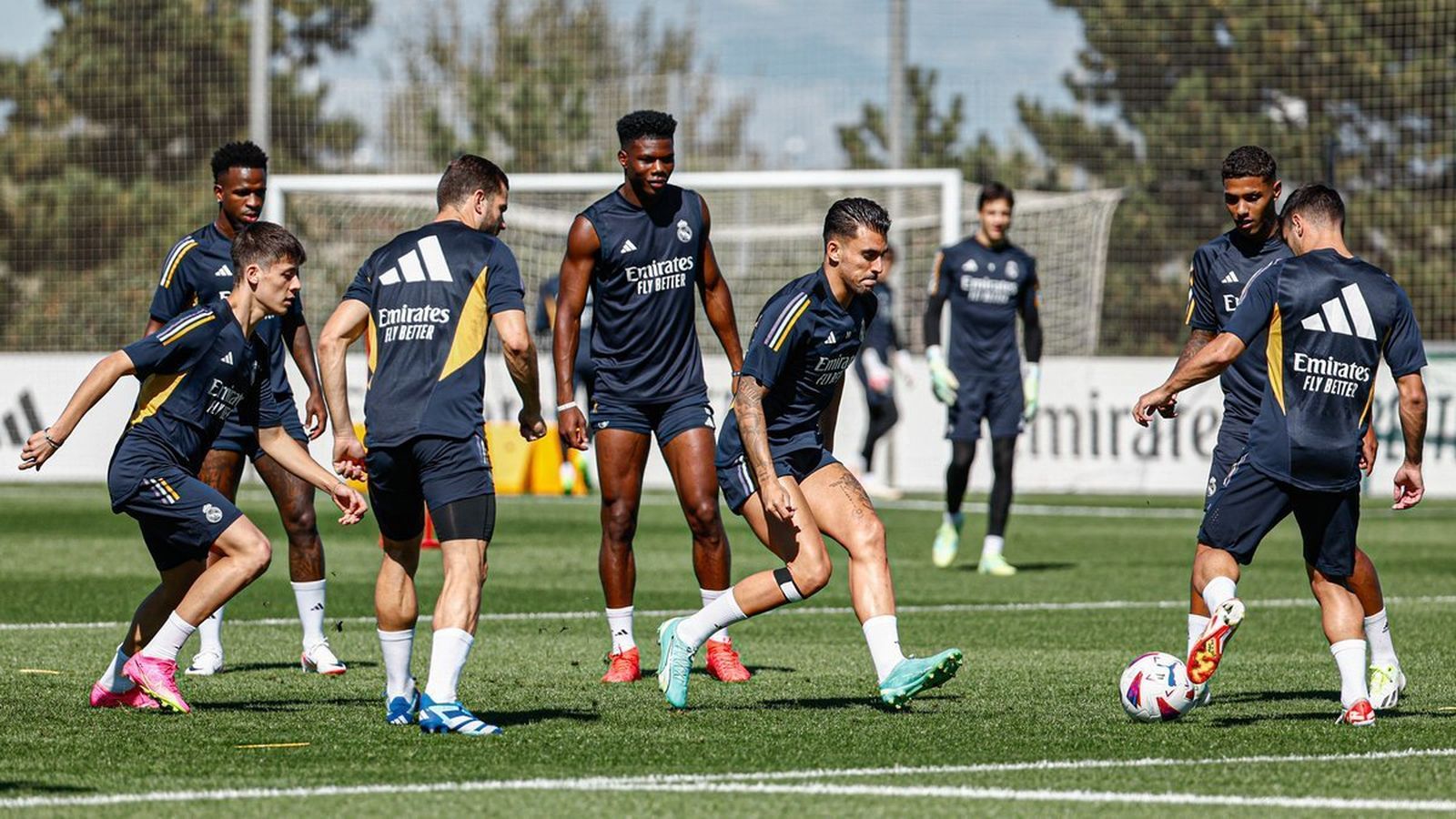 Vinicius regresa