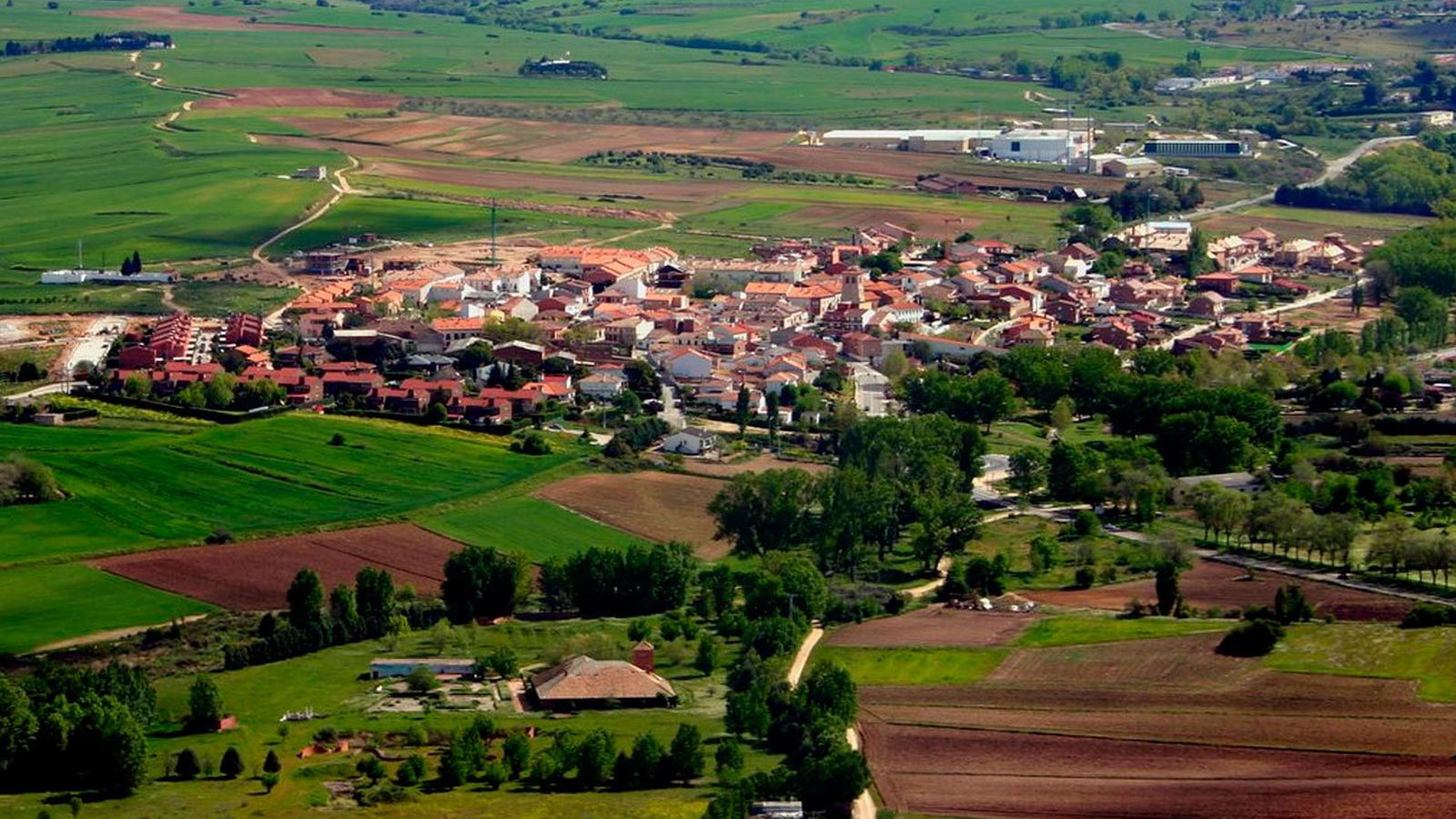 Alalpardo