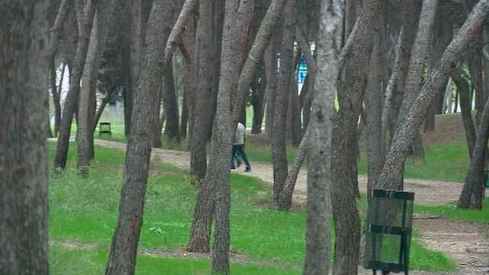 Encuentros sexuales en el pinar de La Elipa