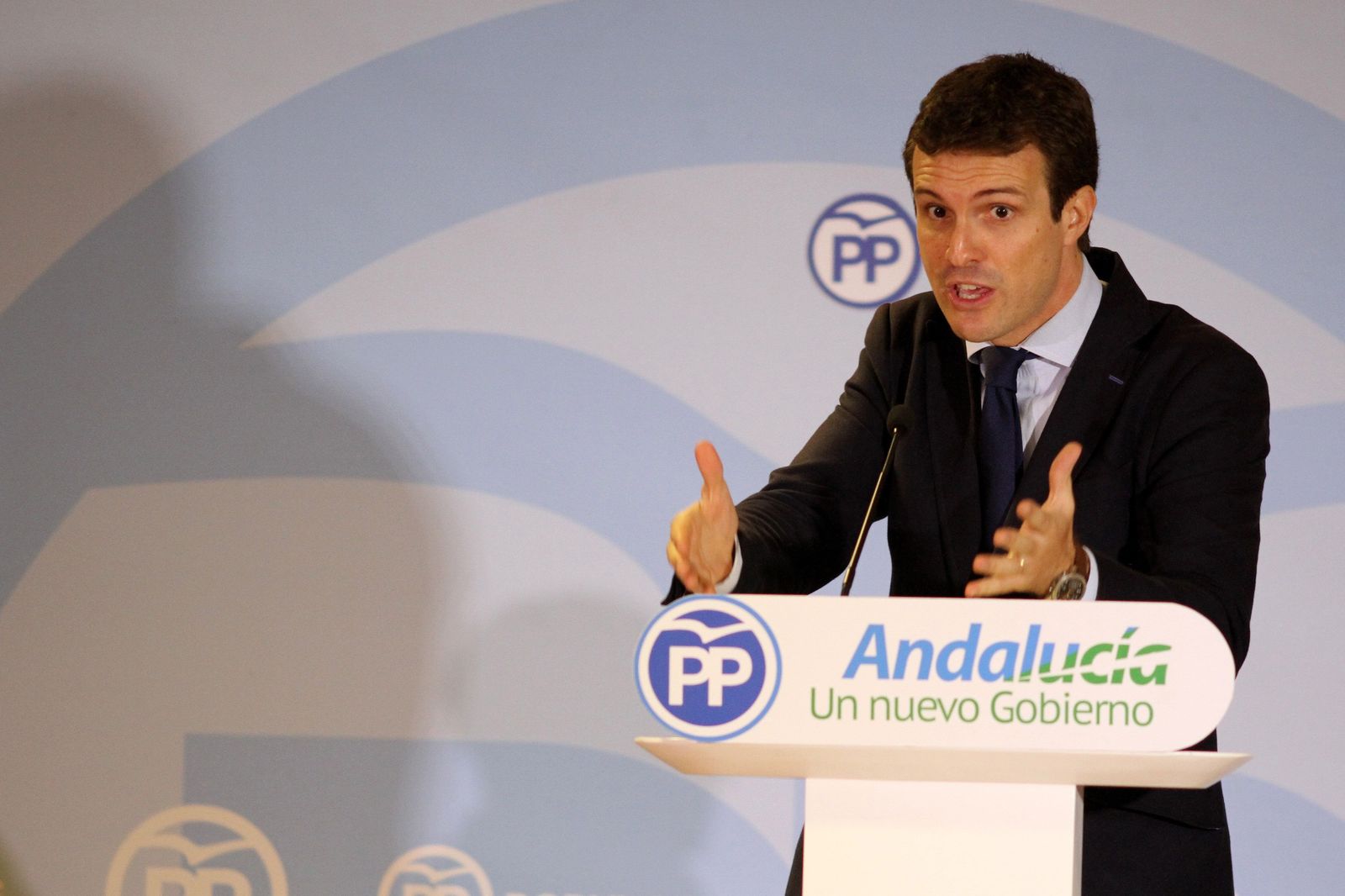 El líder del PP, Pablo Casado
