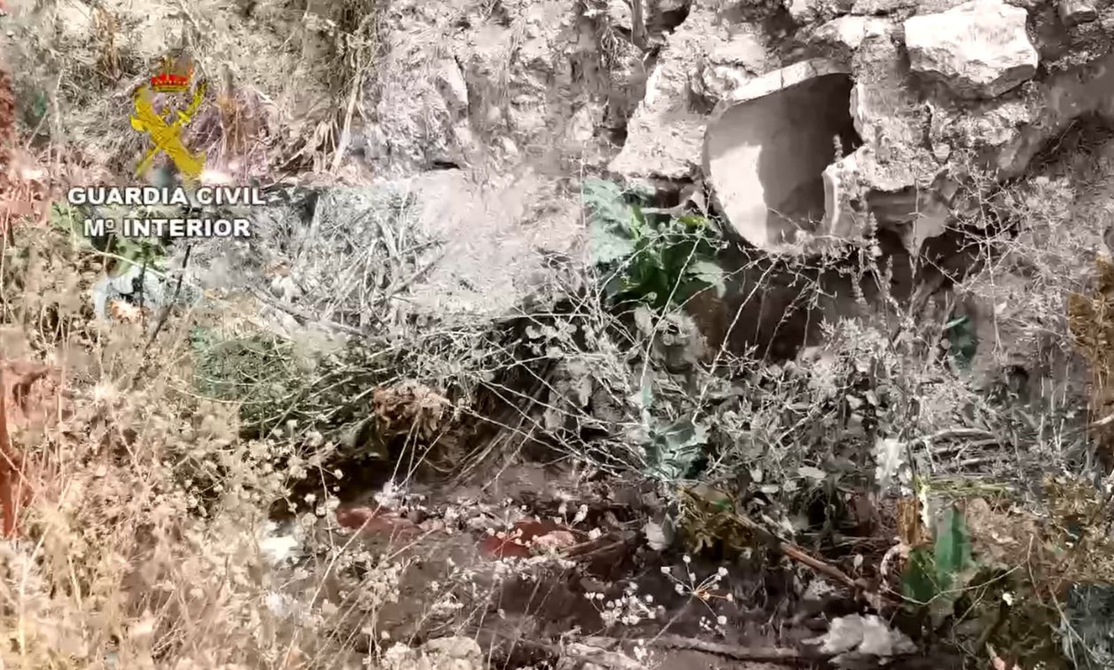 Restos de sangre en el lecho del arroyo y la tubería de donde proceden