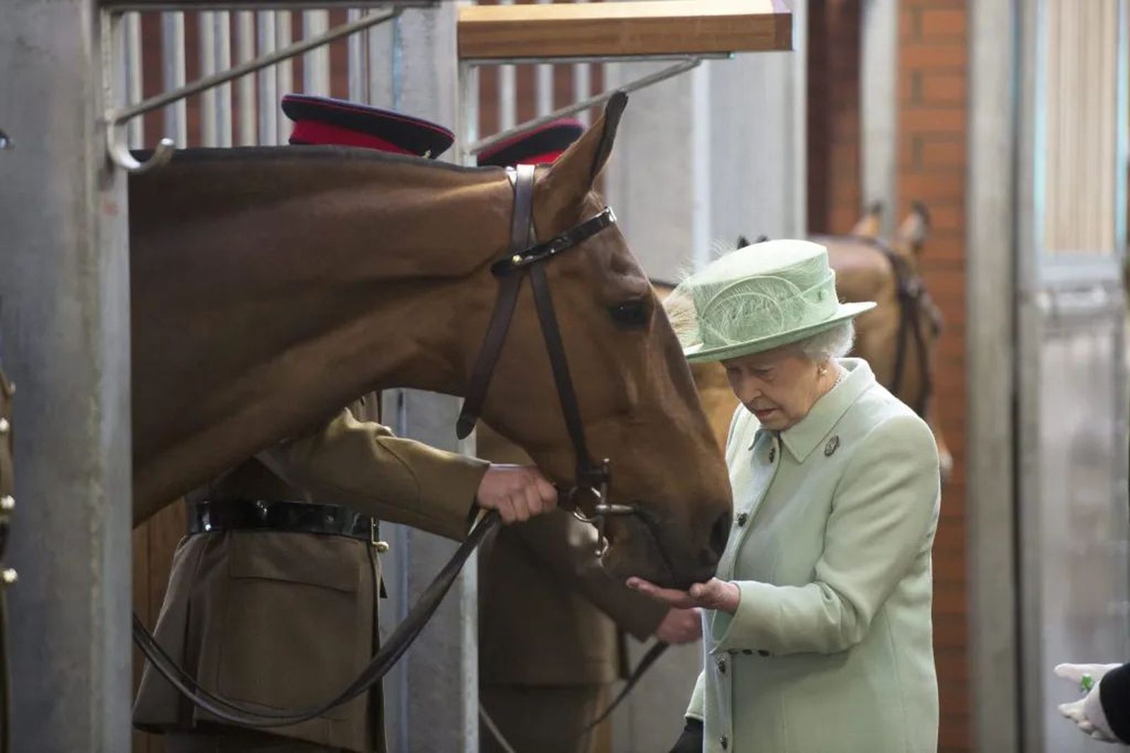 La reina Isabel II alimenta uno de los caballos del Ejército