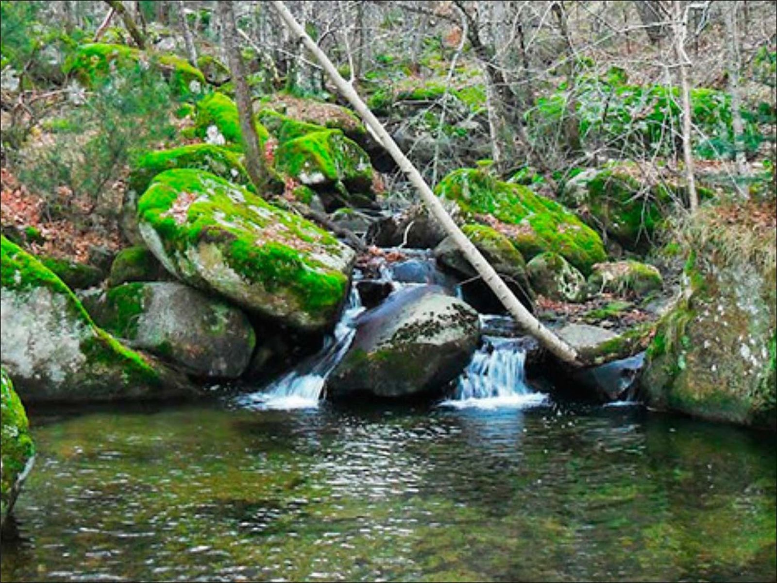 POZAS NATURALES EN HORCAJO DE LA SIERRA. DÓNDE:  Desde la A-1 tomar la salida 85 para continuar por la M-141 hasta las pozas naturales de Horcajo de la Sierra. TARIFAS: Gratuita. Aparcamientos gratuitos sin vigilancia. CARACTERÍSTICAS: Cuenta con mesas, bancos, barbacoas fijas y fuente.