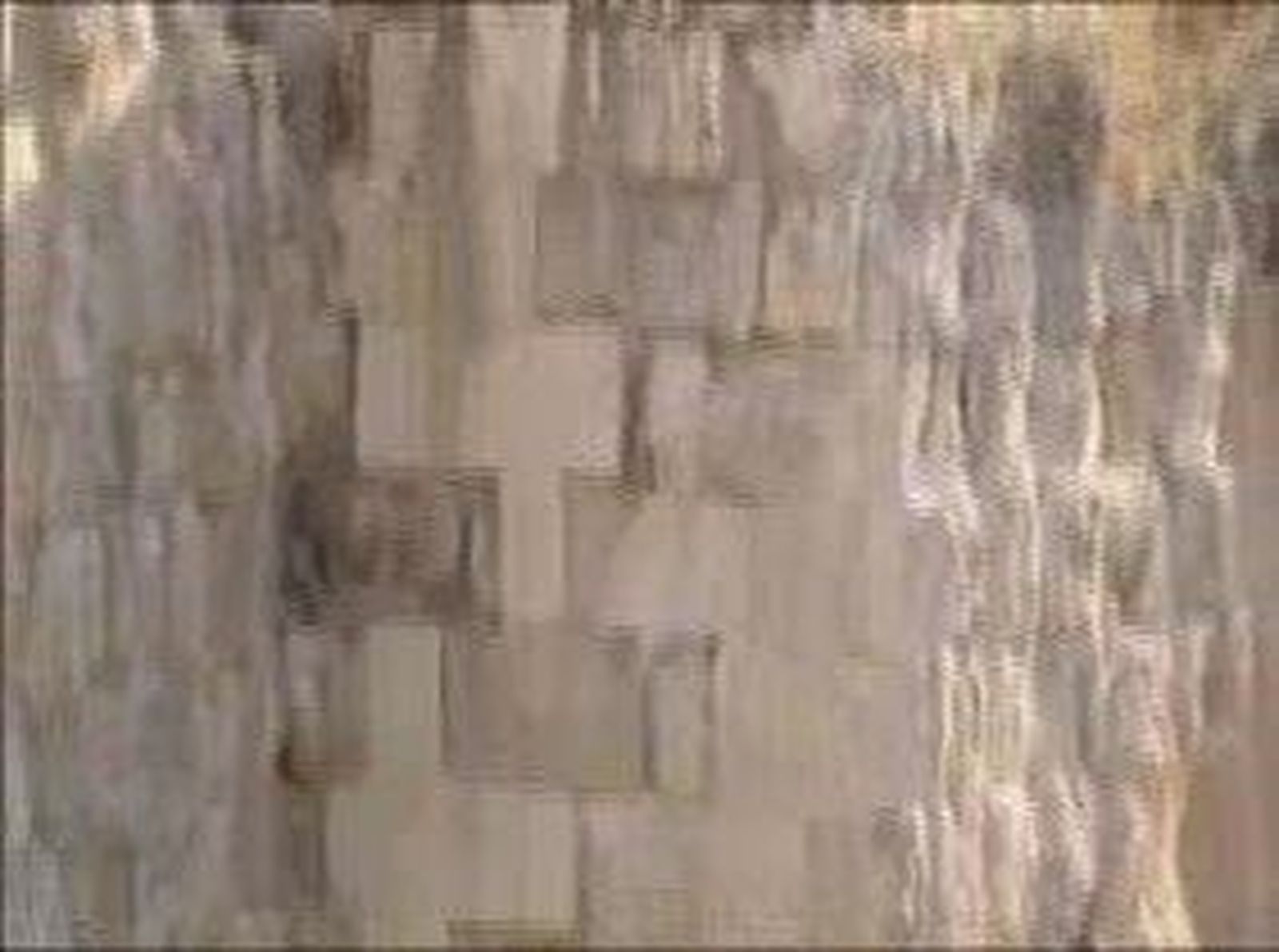 48arqueolog_20101118V0.wmv