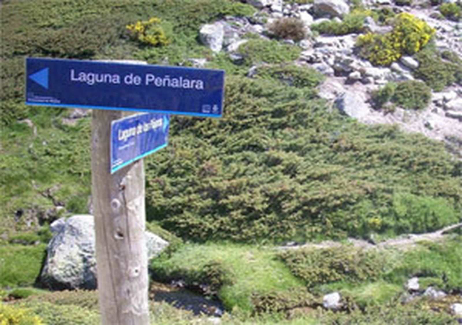 Laguna de los Pájaros