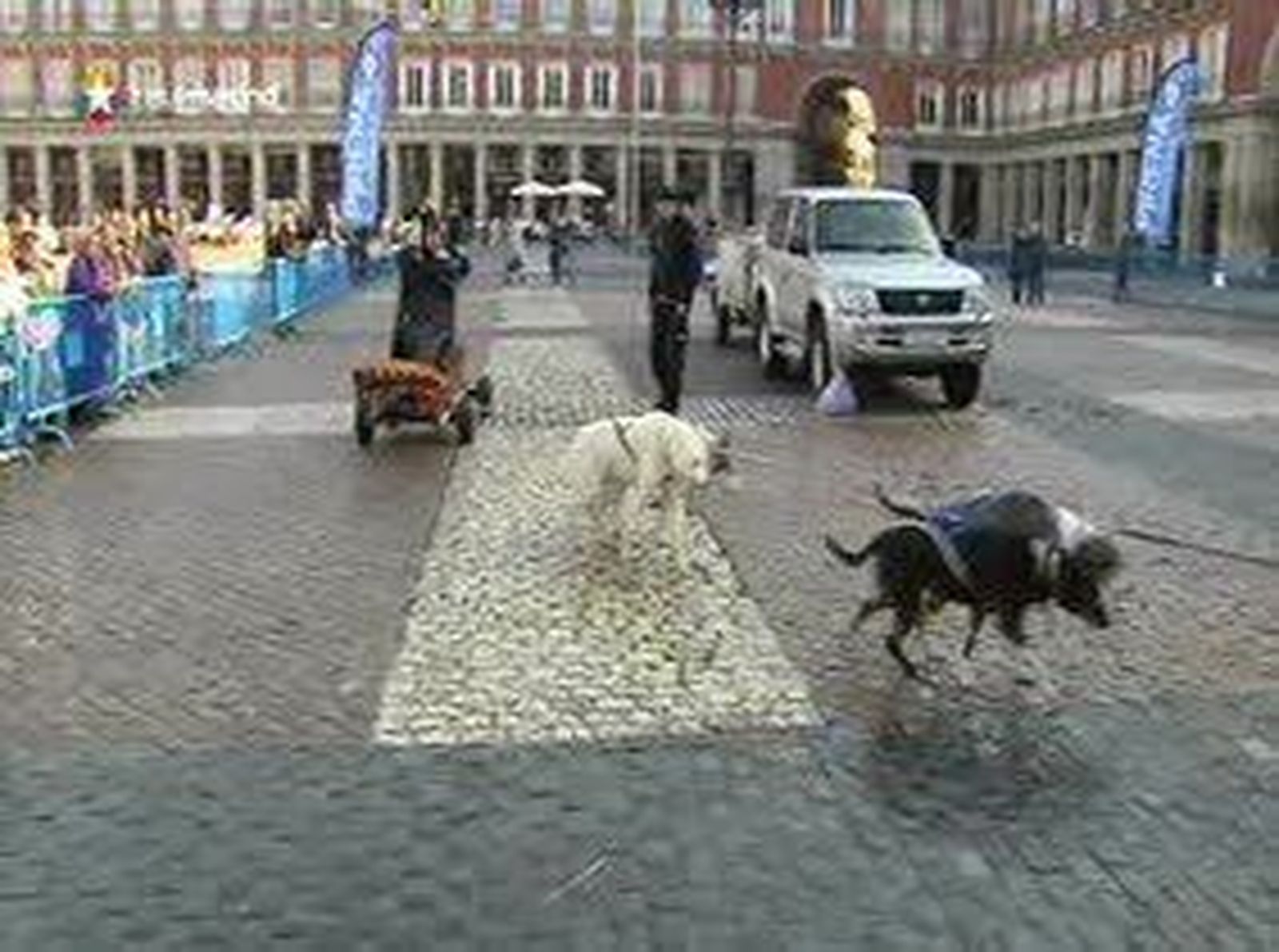 Trineos de Pirena en la Plaza Mayor