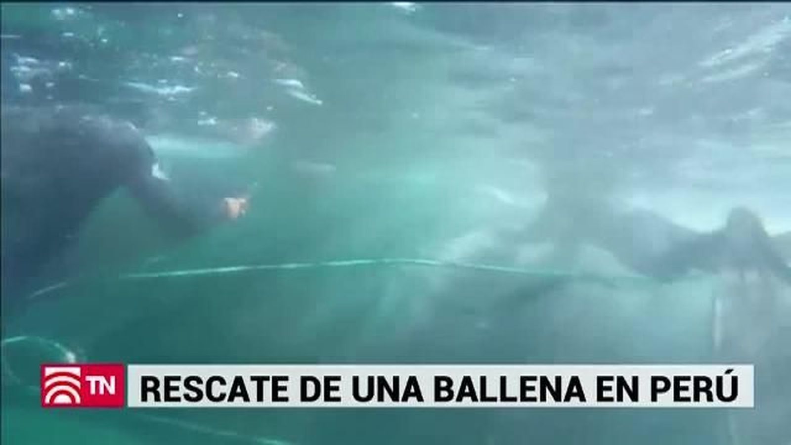 El Tiempo 04.08.2019
