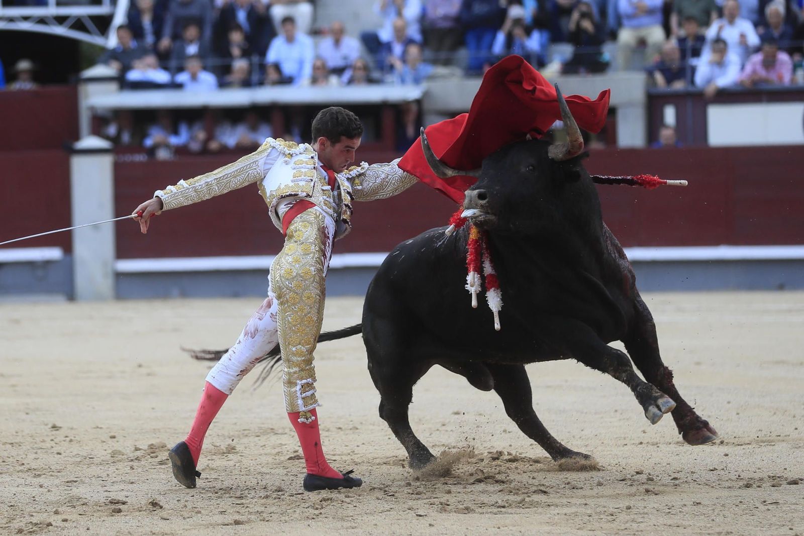 Puerta grande para el diestro madrileño Fernando Adrián en Las Ventas