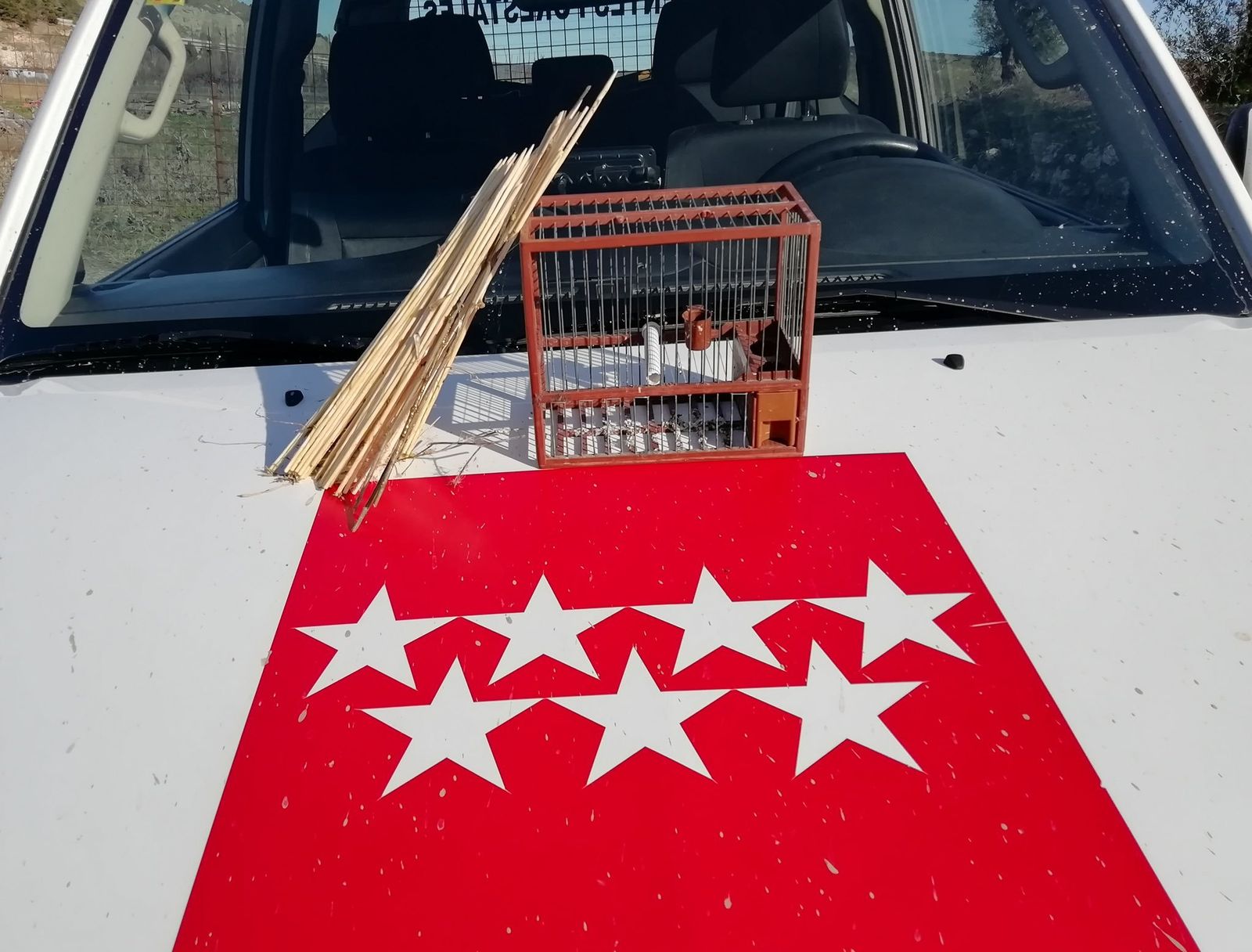 Material intervenido por los agentes forestales