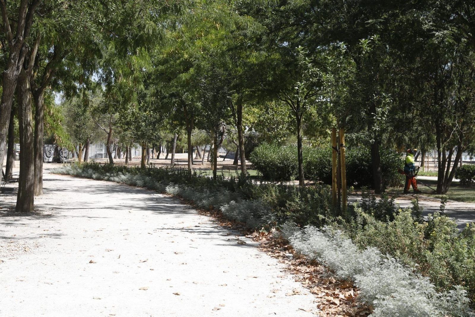 El Parque de Las Cruces abre sus puertas con nuevas zonas deportivas y espacios caninos