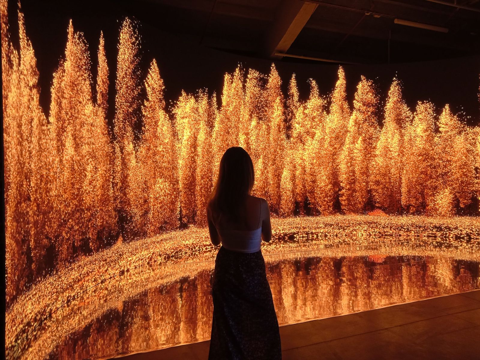 La nueva exposición inmersiva y gratuita en Madrid que une China con España