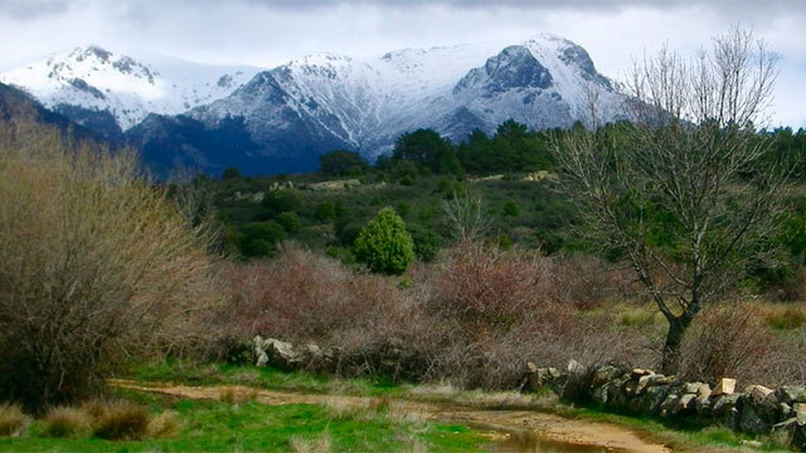 Sierra de Guadarrama en Madrid