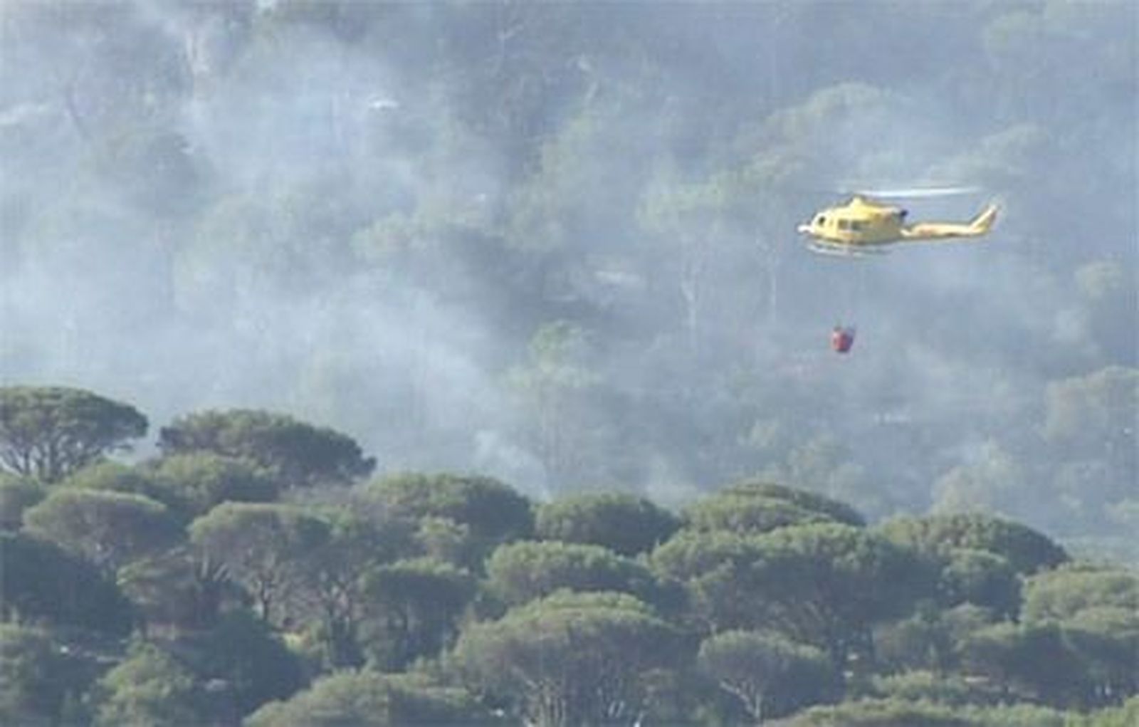 El fuego de Ávila tiene 15 km de perímetro y pudo deberse a la acción humana