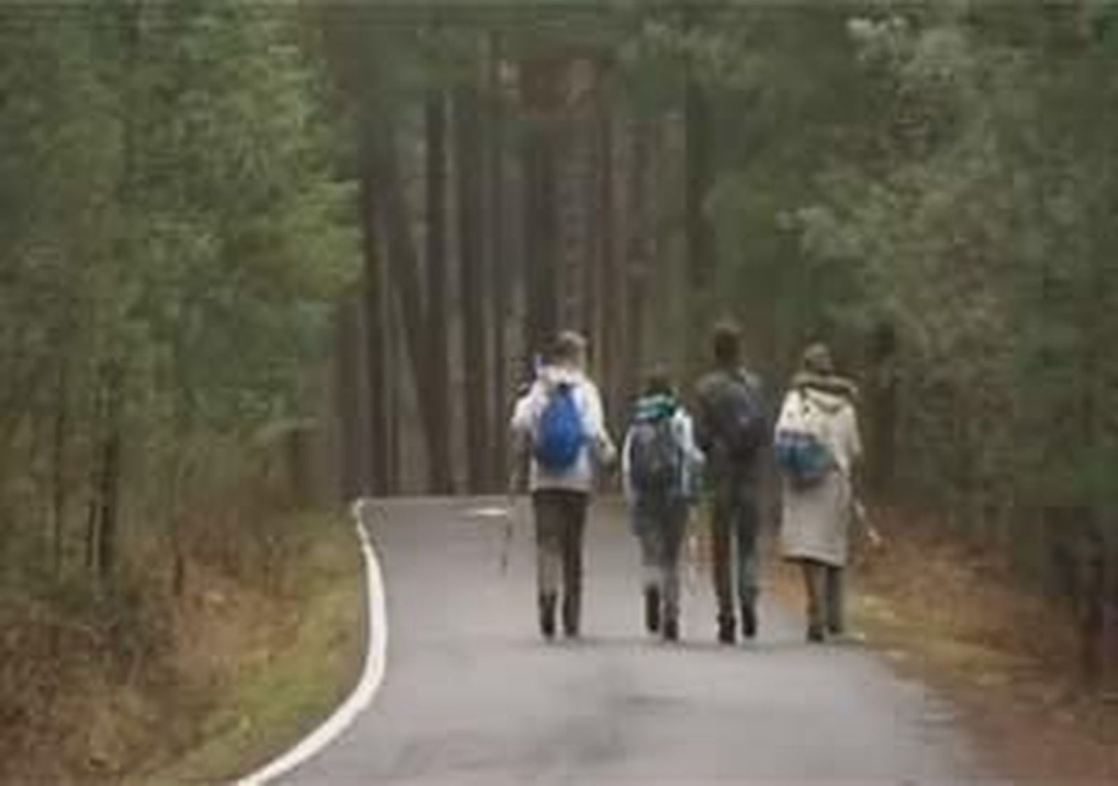 Escapada a Cercedilla