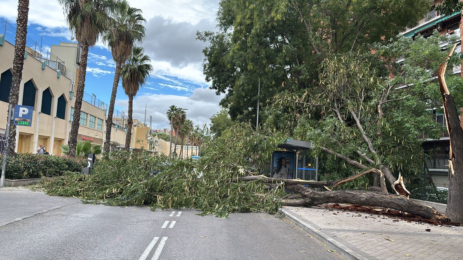 La borrasca Herminia activa este lunes la alerta por vientos en Madrid y nieve en la sierra