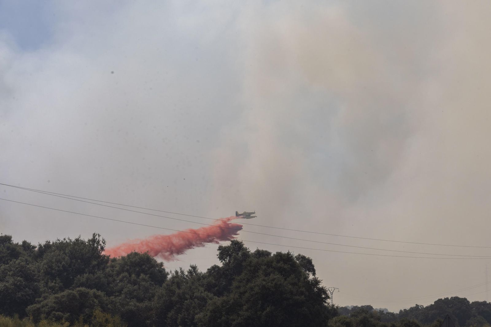 Incendio forestal en la Academia de Infantería de Toledo
