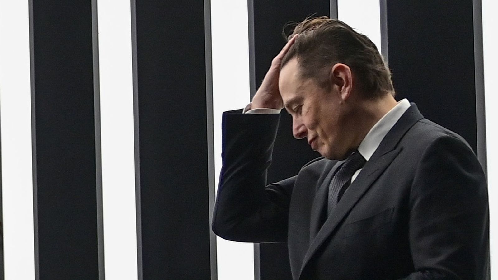 Despidos, suplantación y marcha atrás en el servicio de pago de Twitter tras la llegada de Musk a la red social