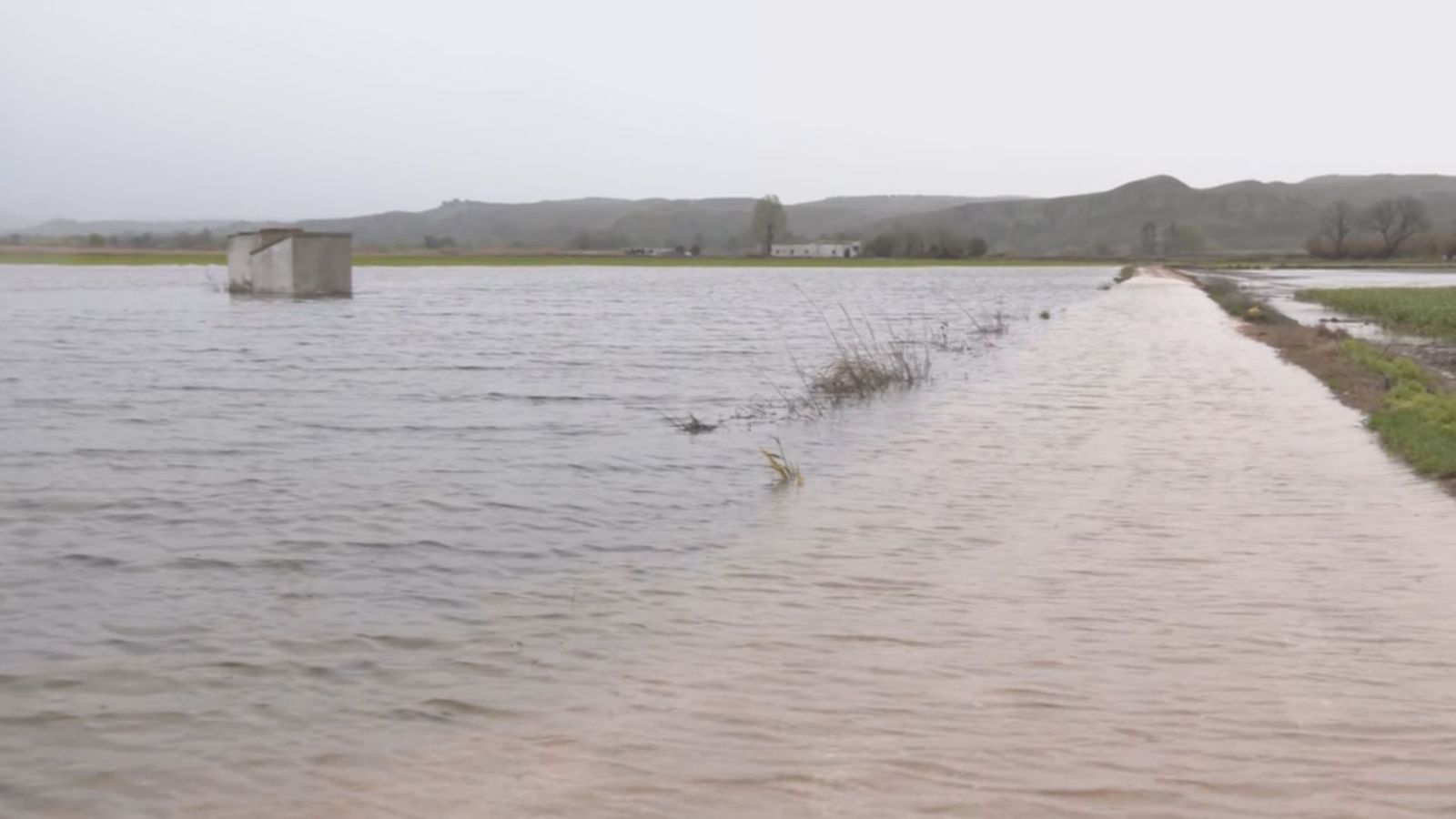 Llueve sobre mojado en Titulcia: los agricultores enfrentan la devastación de sus cultivos