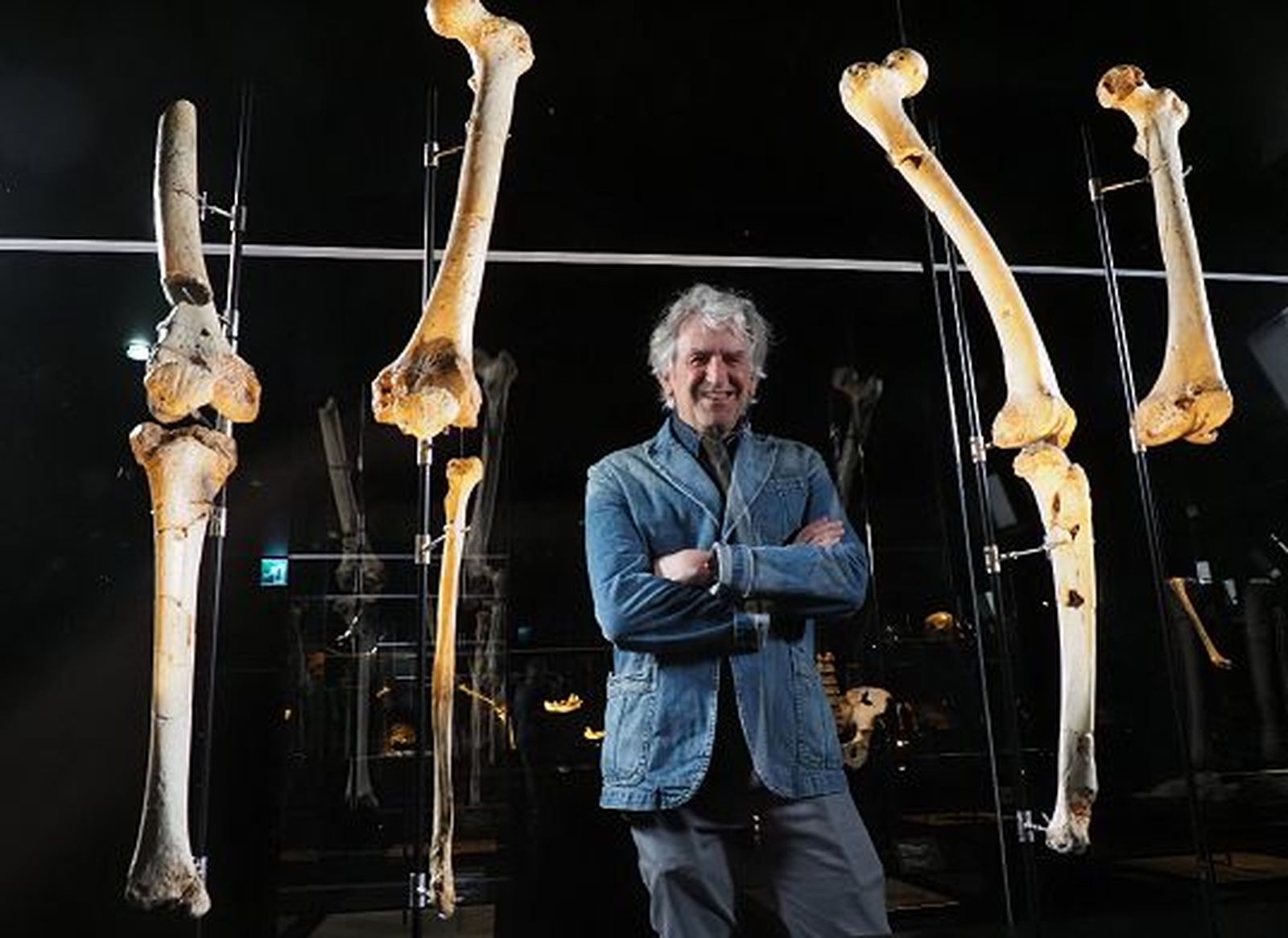 Nuevos fósiles para completar el primer preneandertal  de Atapuerca