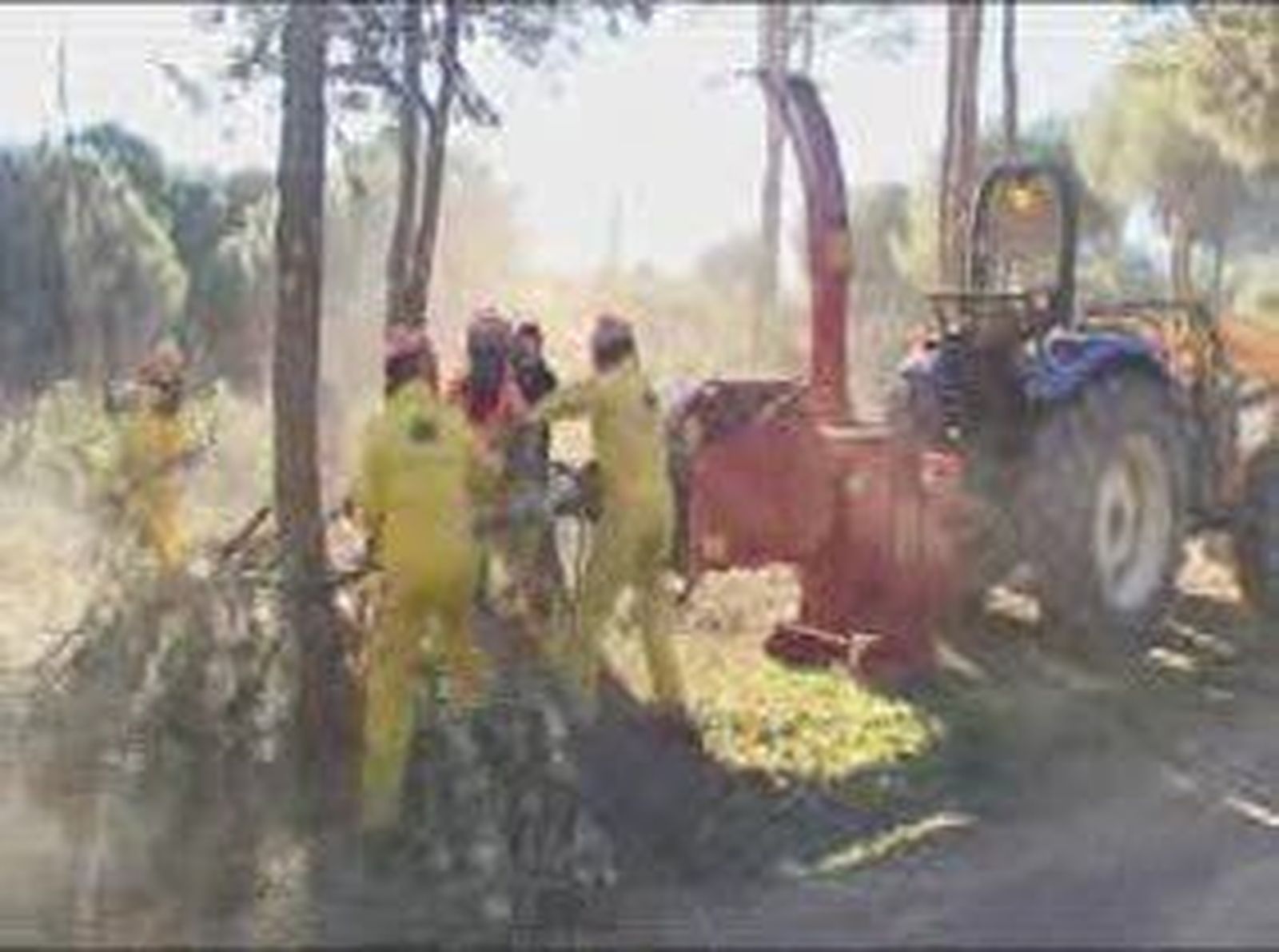 LIMPIEZAMONTE_2011121V0.wmv