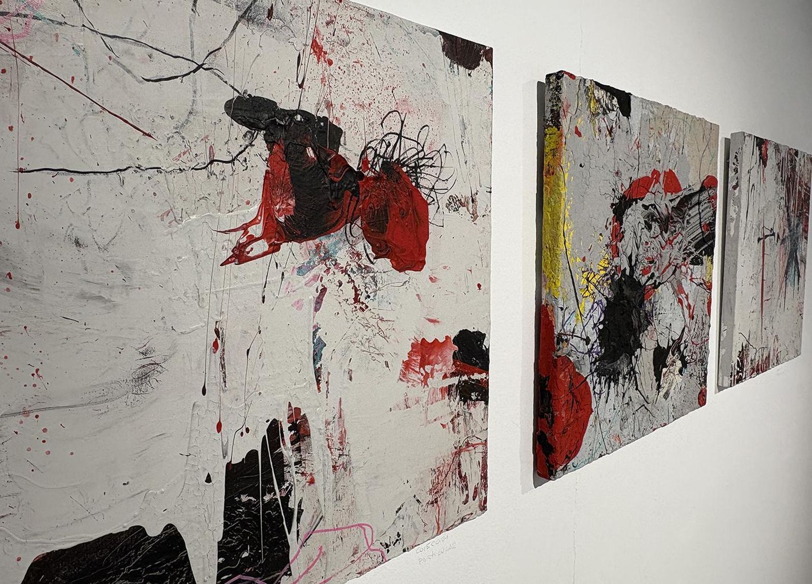 Exposición 'Oyonarte, Alicia y los espejos'