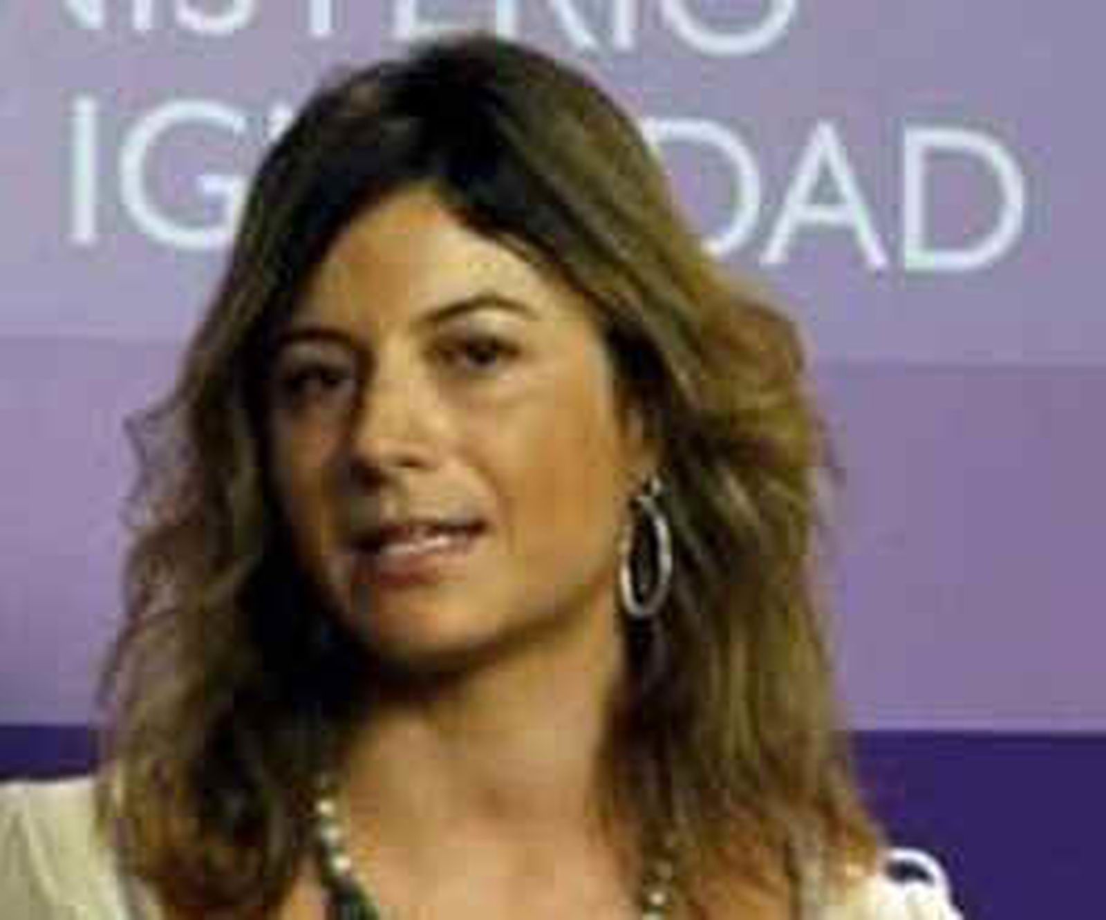 Aído pide al PP que retire el recurso de "la vergüenza" contra las bodas gais