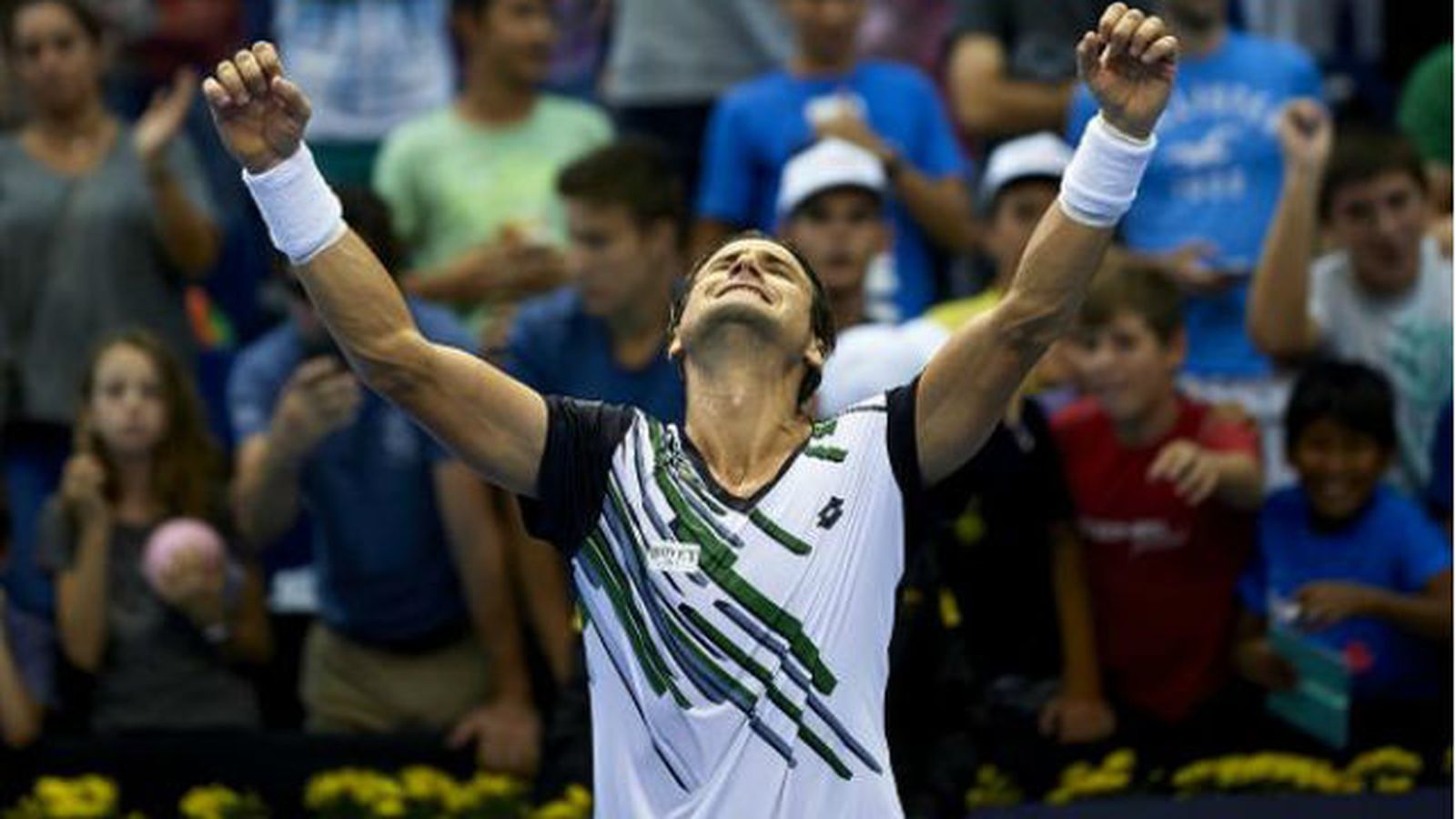 David Ferrer