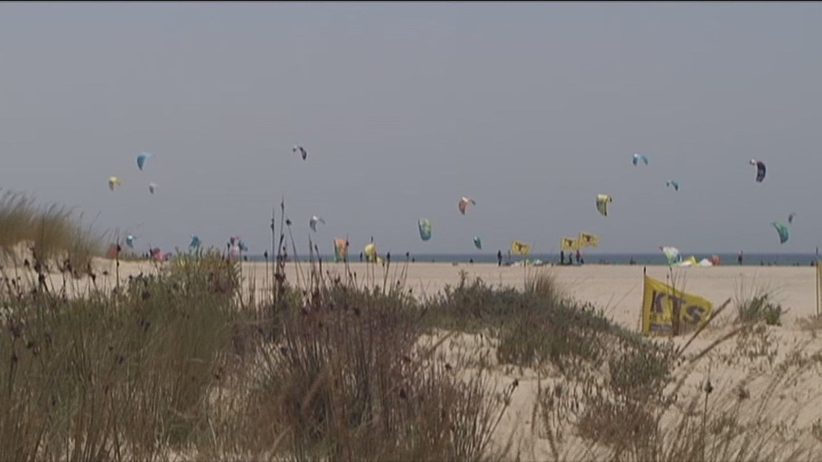Denuncian un proyecto que quiere urbanizar 600 mil metros cuadrados de playa en Tarifa