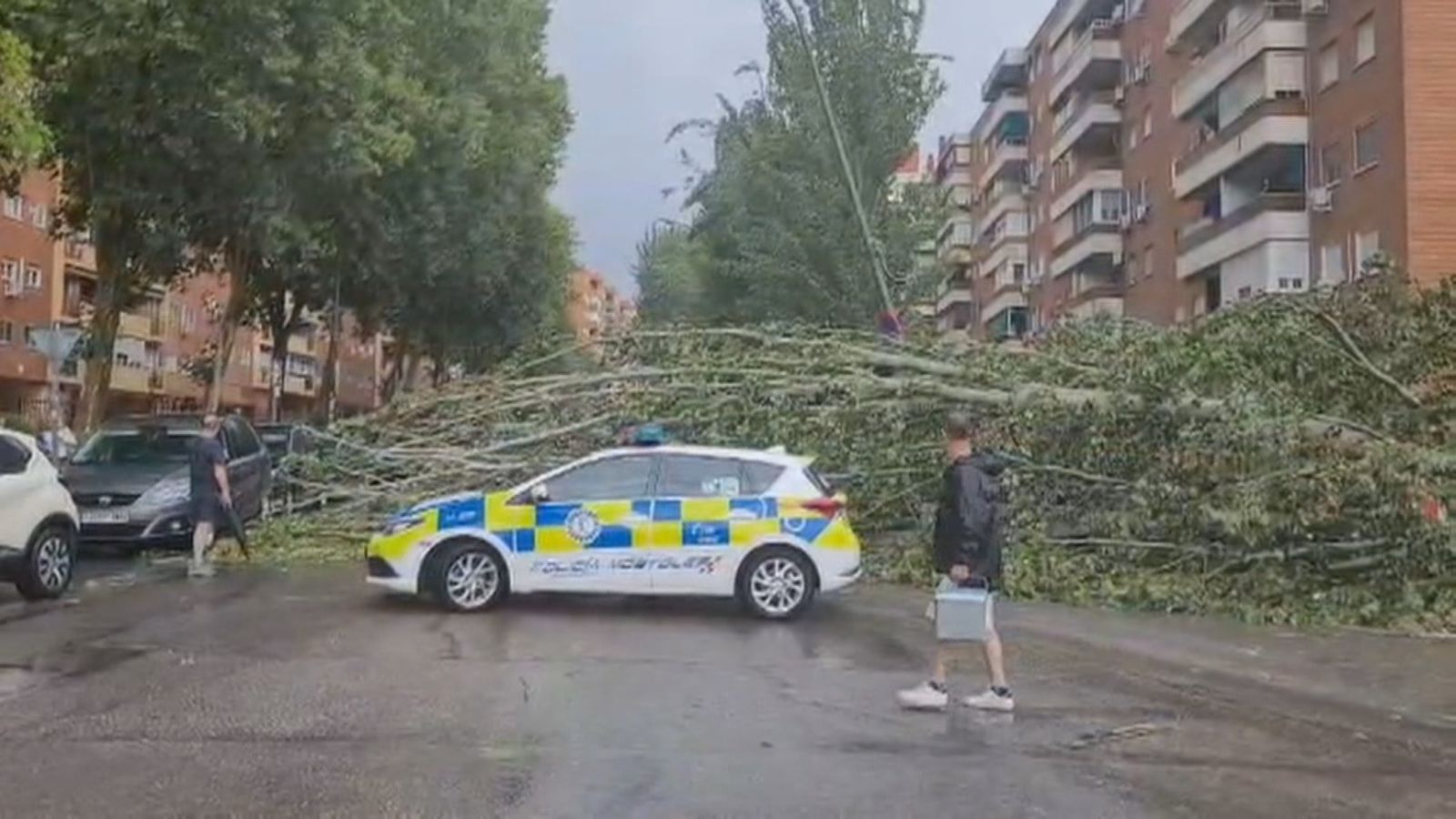 El 112 gestiona más de 200 incidentes en hora y media por lluvia y viento en la Comunidad de Madrid