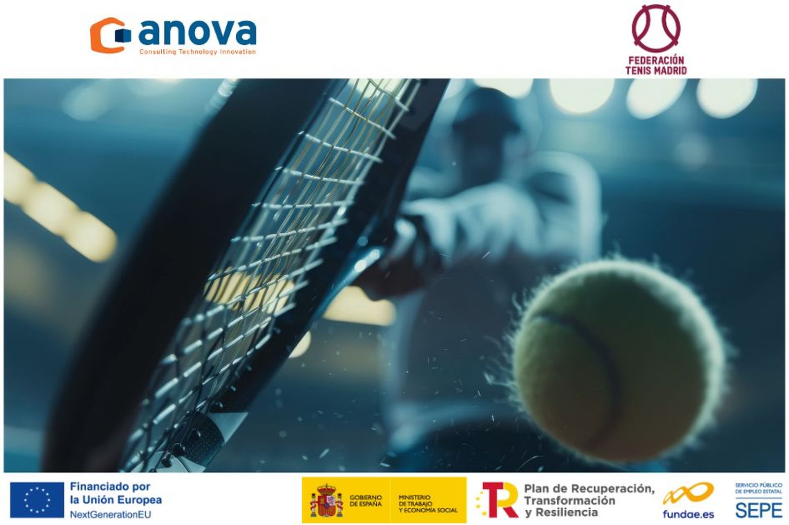 Tenis