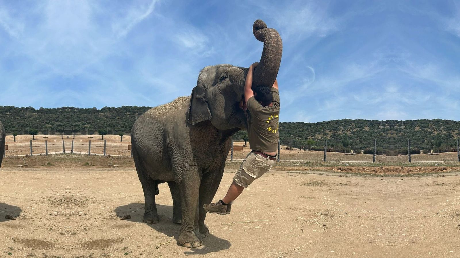 ¿Te gustaría ser cuidador de animales salvajes?