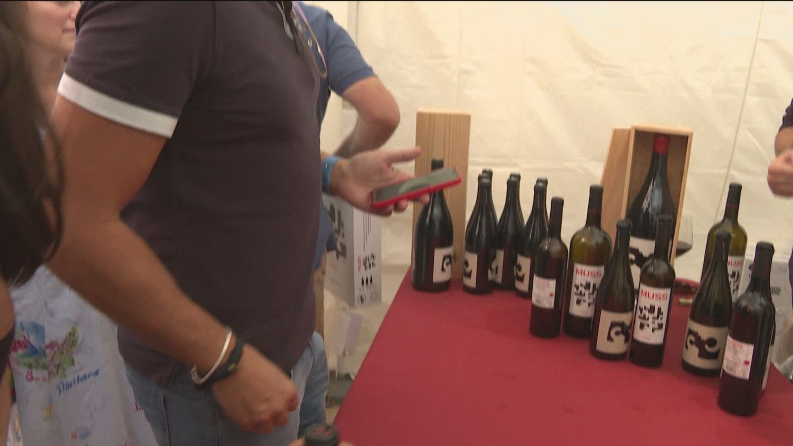 Boadilla del Monte acoge la feria de los Vinos de Madrid