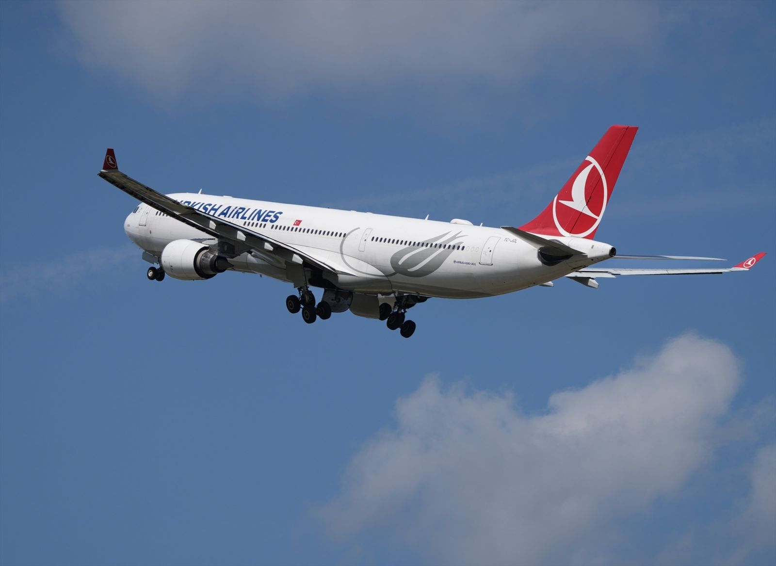 Avión de la compañía Turkish Airlines