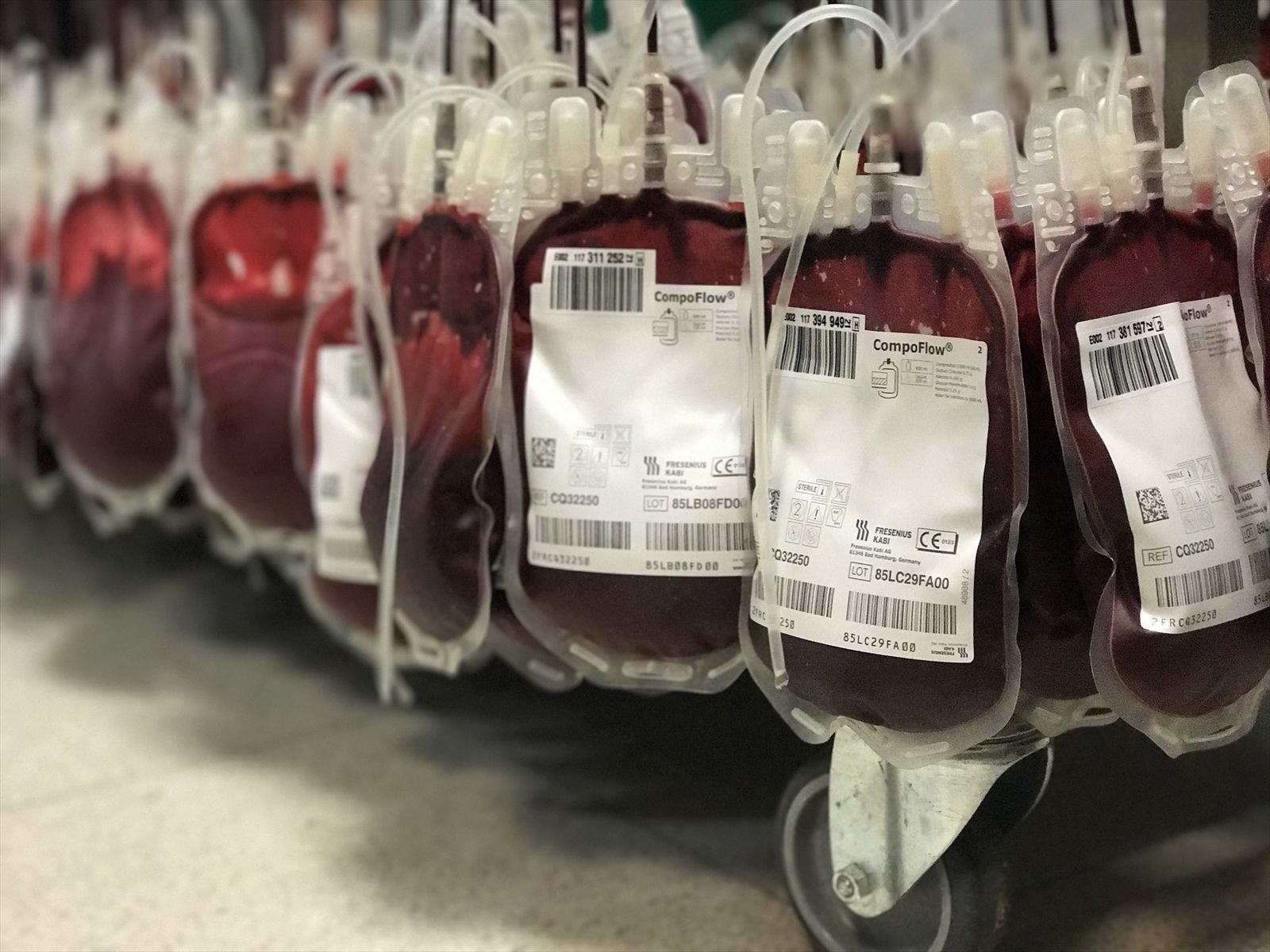 Bolsas de sangre