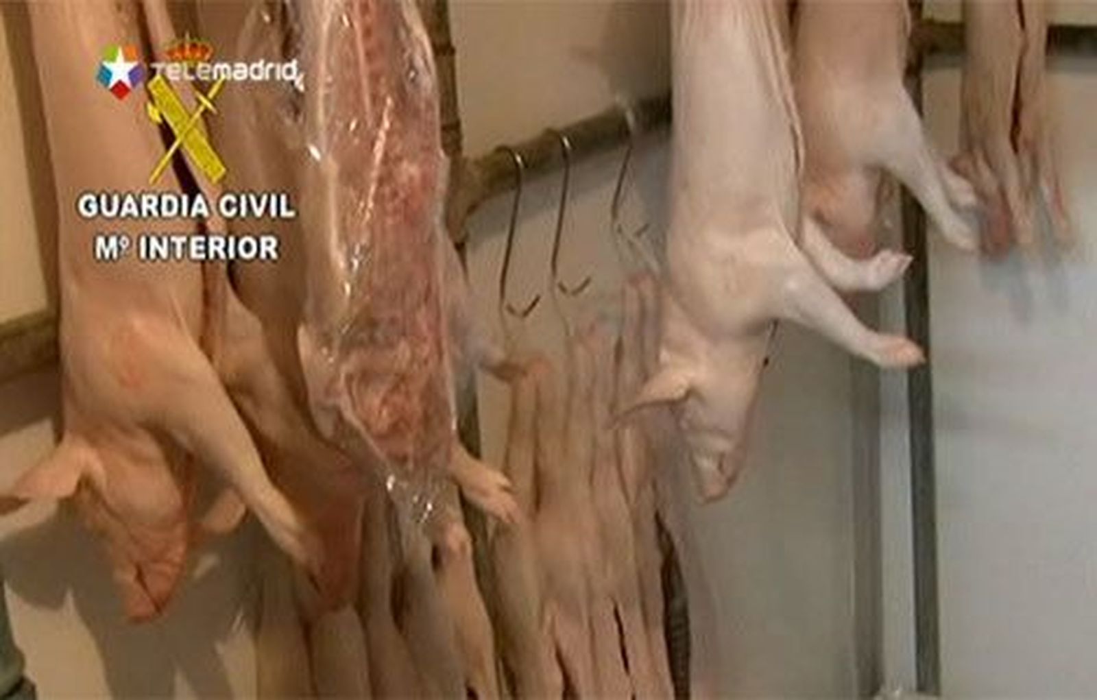 Inmovilizadas 500 toneladas de alimentos peligrosos para los consumidores