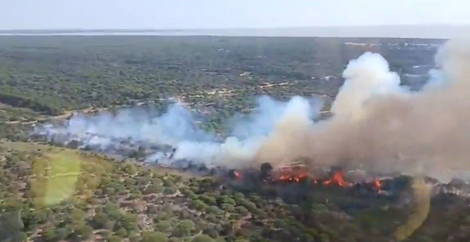 Se incorporan 11 medios aéreos a las labores de extinción del incendio de Doñana