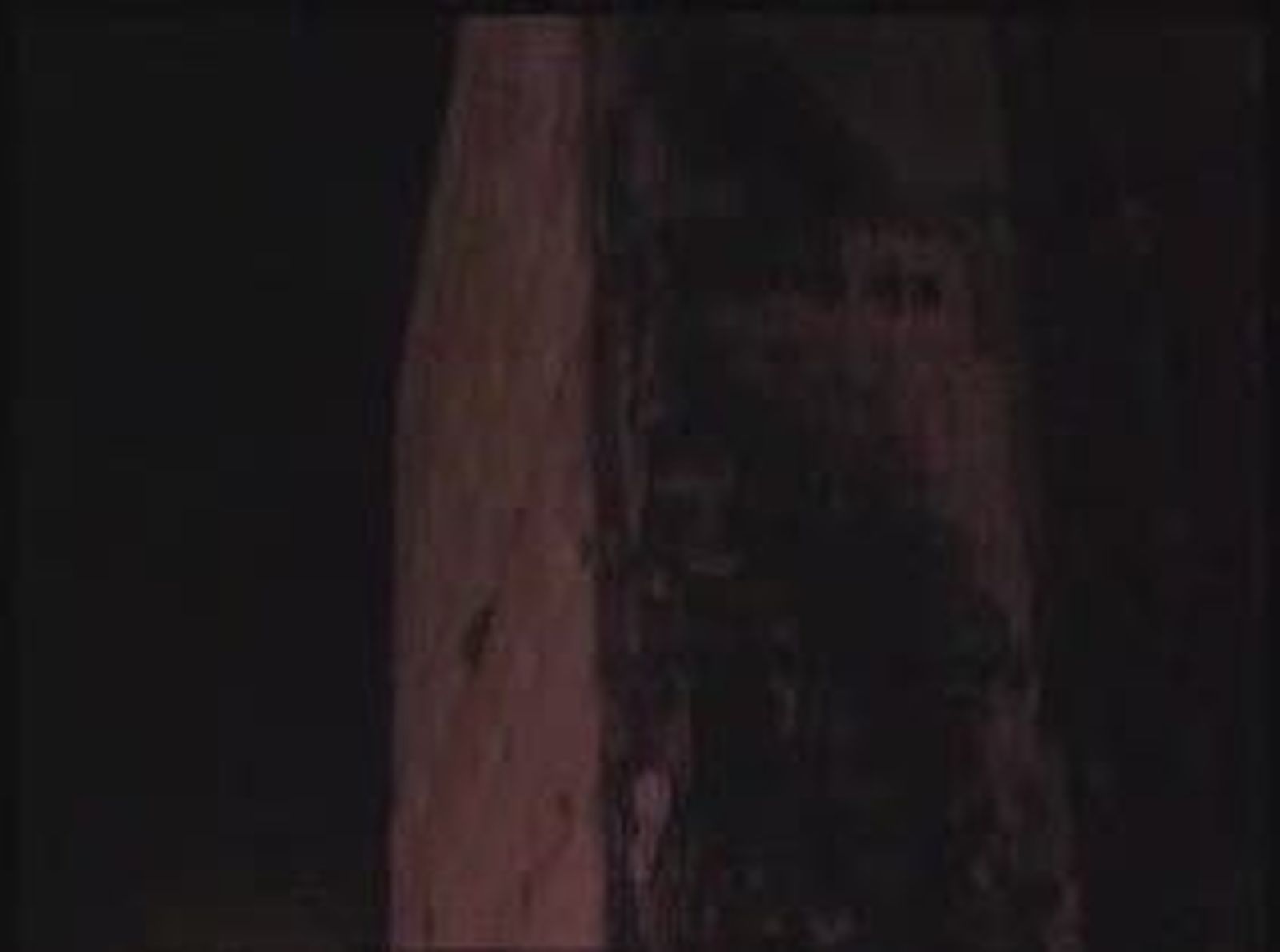IncendioFrancia_20101114V0.wmv