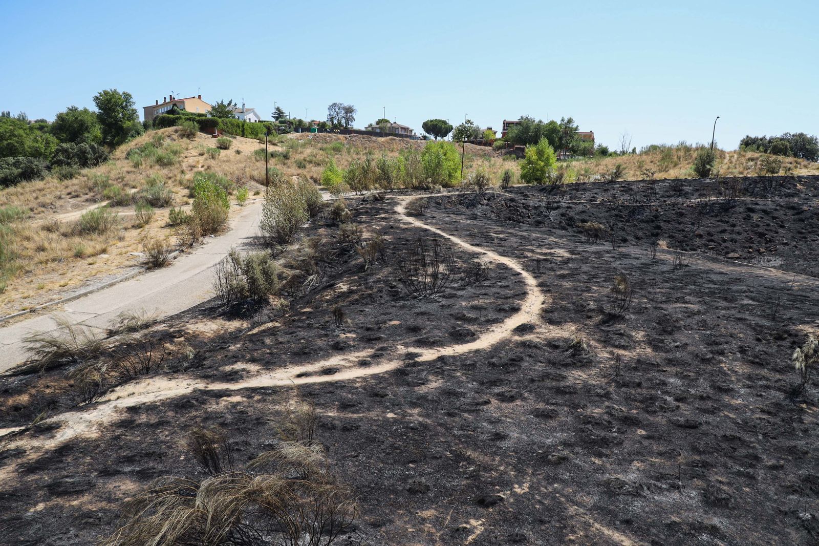 Terreno quemado en Parque Coimbra, Móstoles