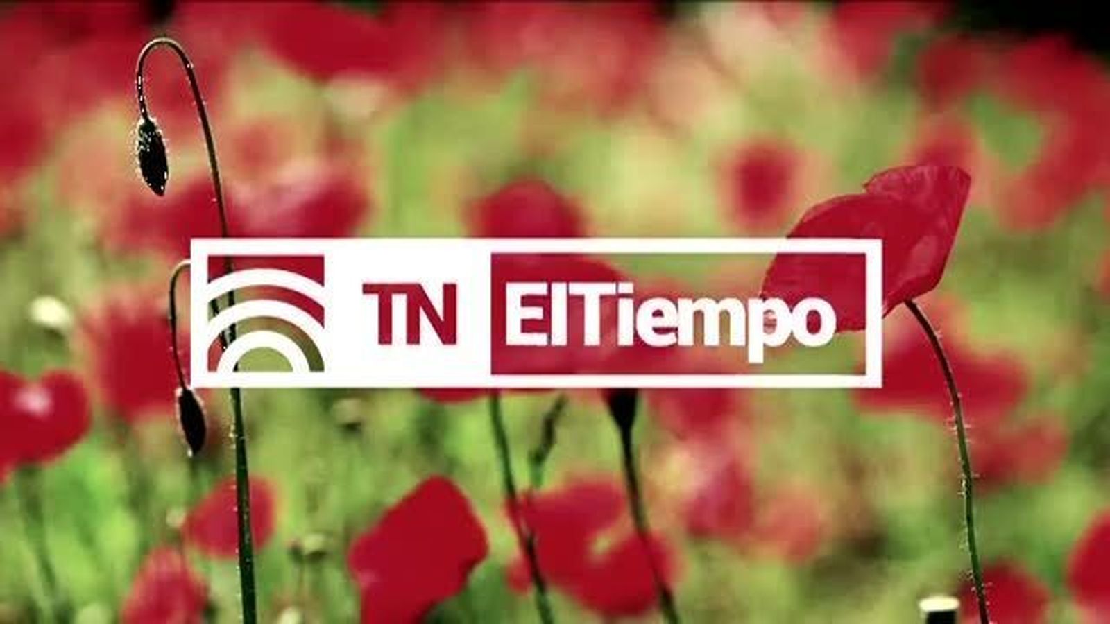 El Tiempo 2 14.07.2018
