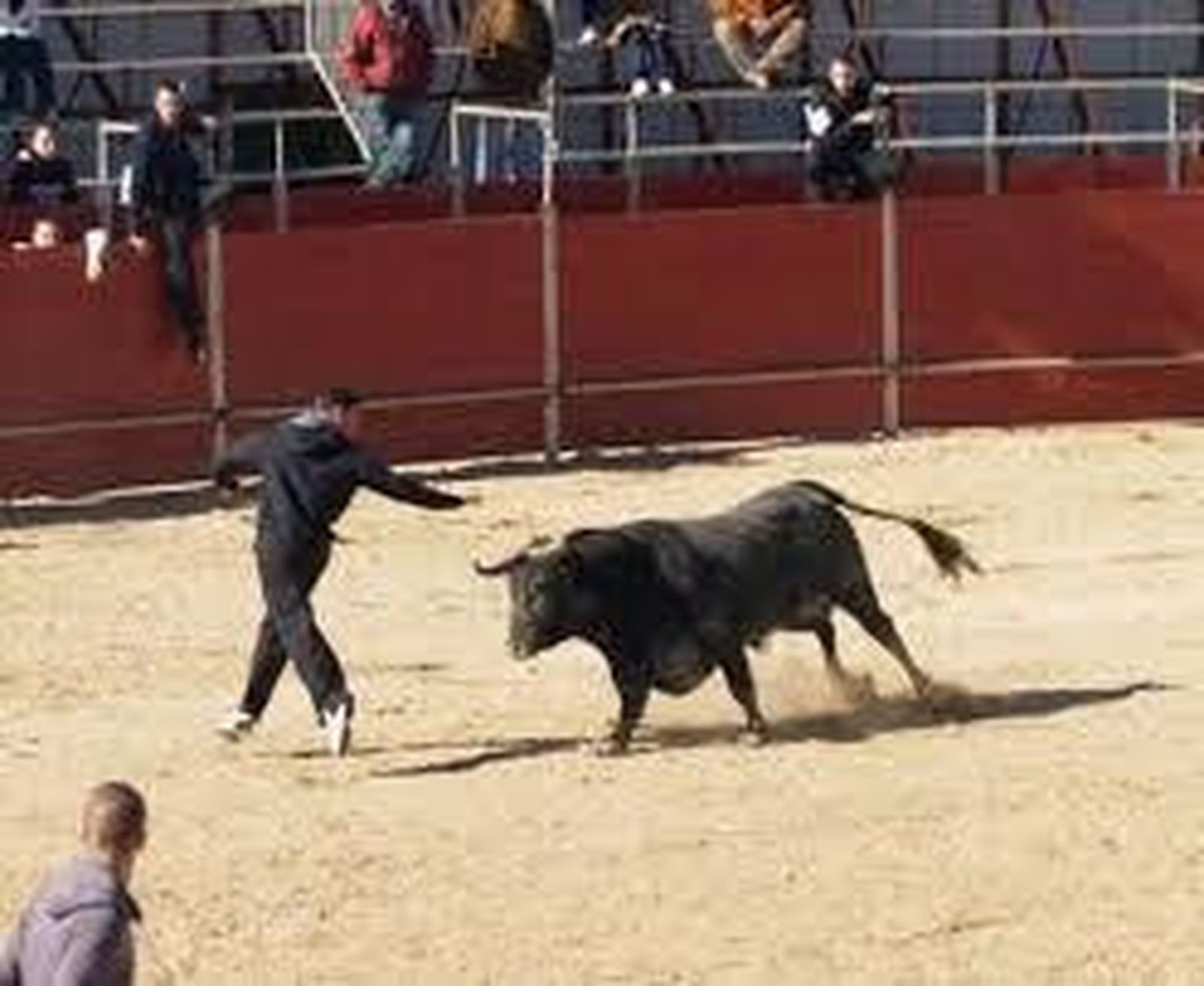 Encierros de Fresno de Torote