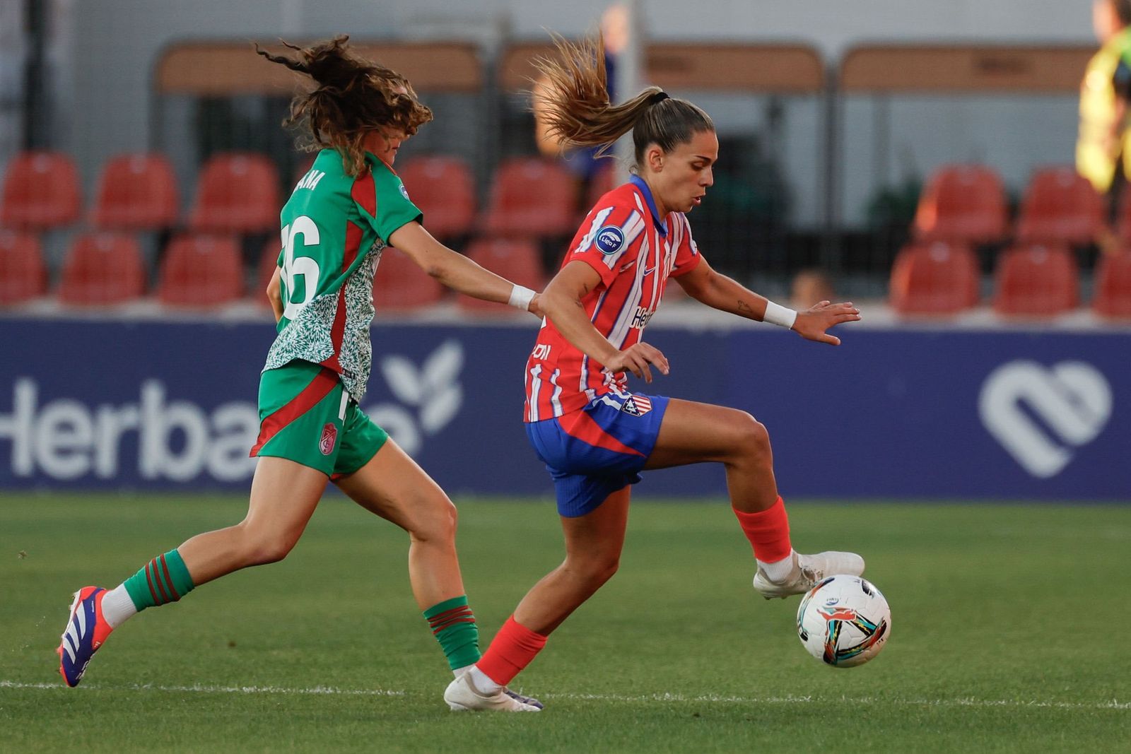 Gio Queiroz