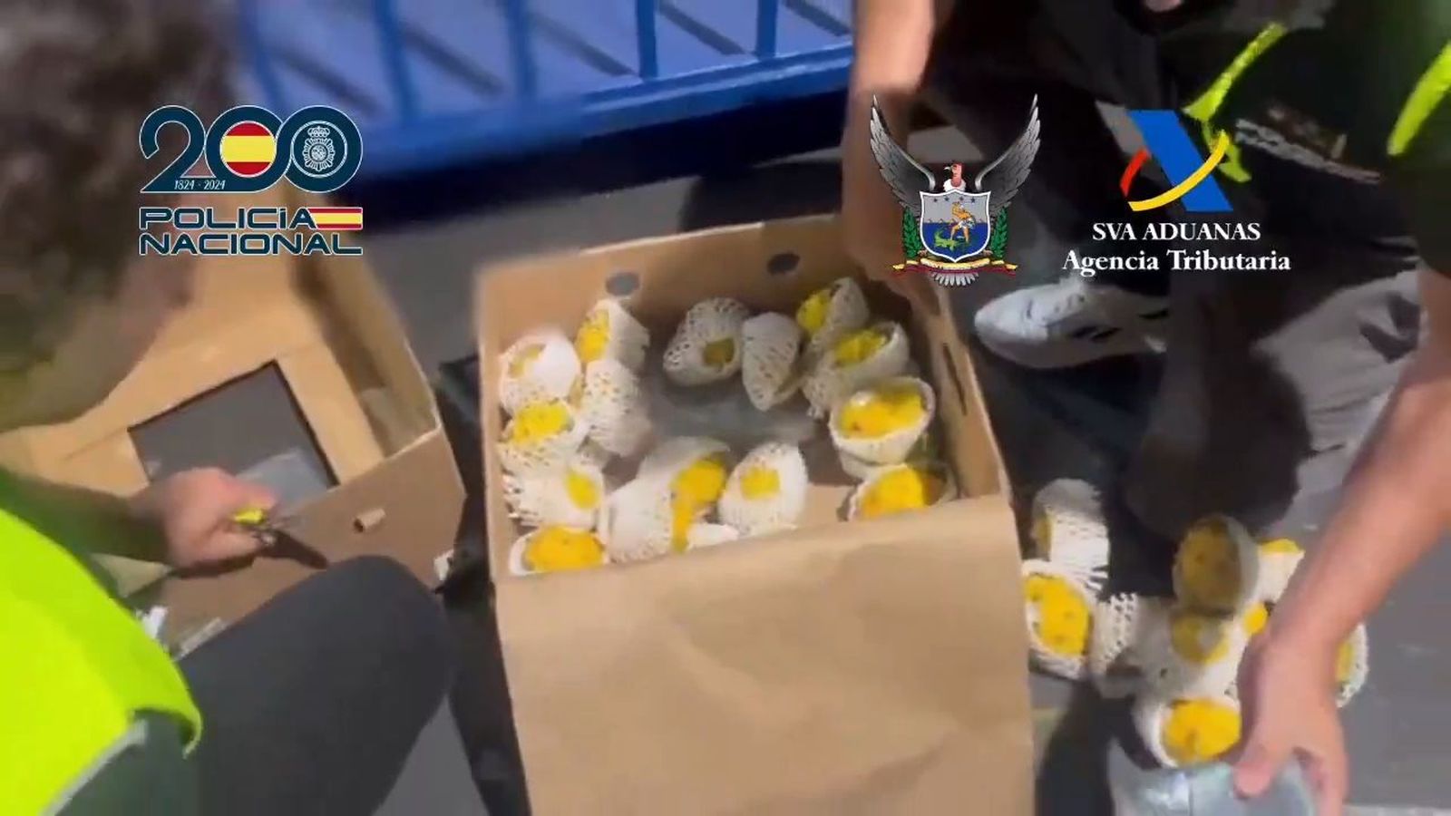 Droga camuflada en cajas de fruta