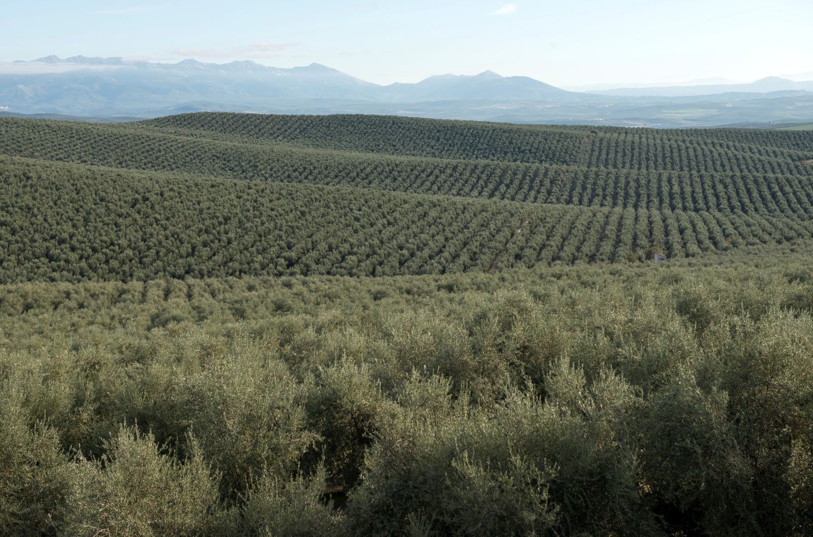 Estados Unidos no sube los aranceles a los productos españoles