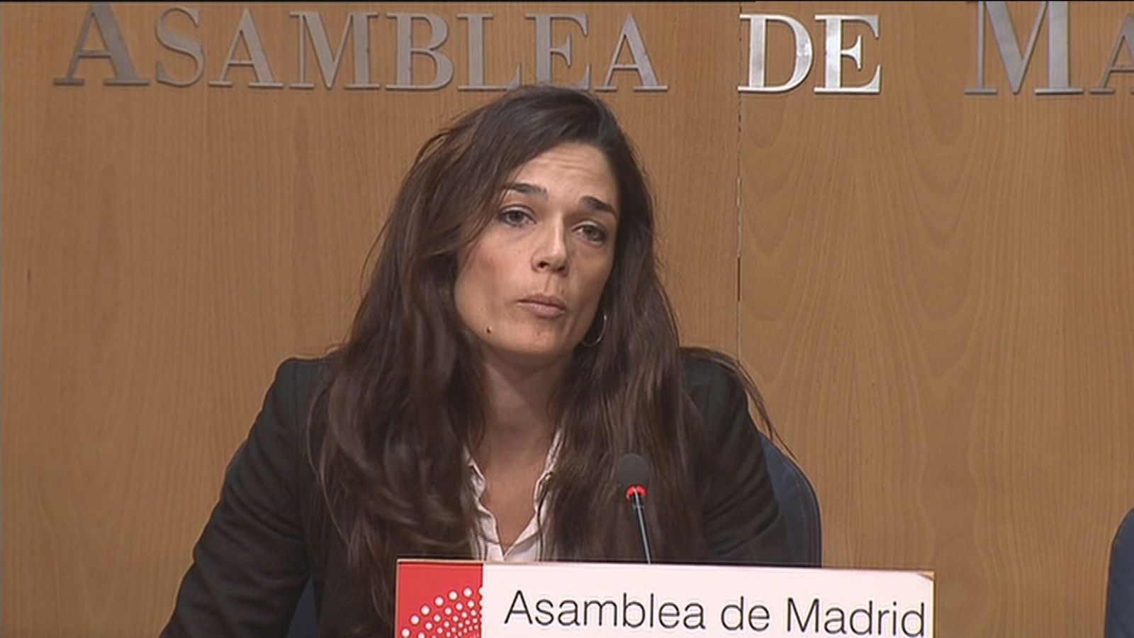 Podemos quiere una reforma exprés del Estatuto de Autonomía de Madrid